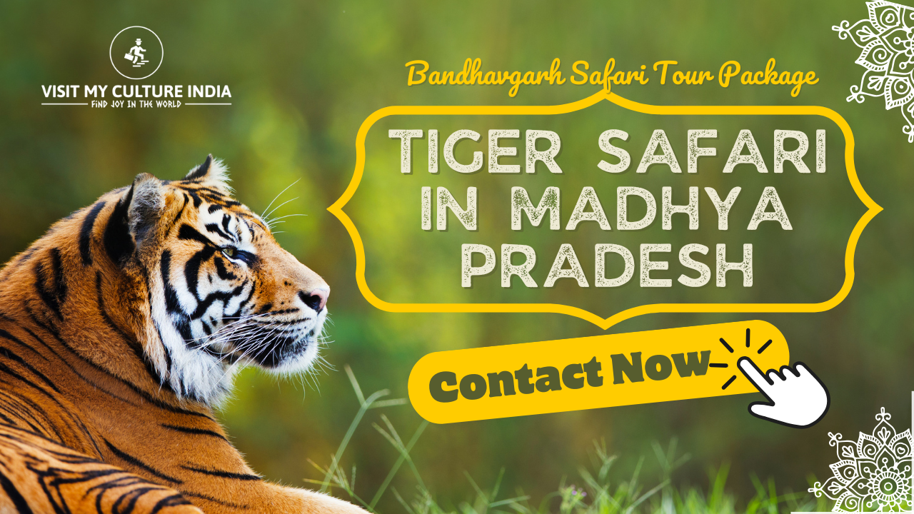 Bandhavgarh Safari Tour Package 2025 | Tiger Safari in Madhya Pradesh